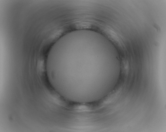 X0000115390224200911241253