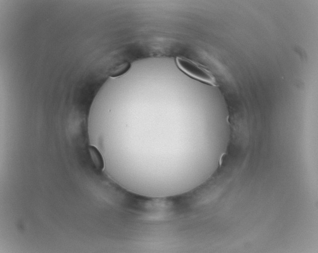 X0000115390225200911241253