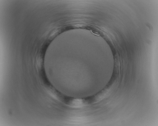 X0000115390227200911241253