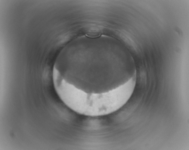 X0000115390228200911241253