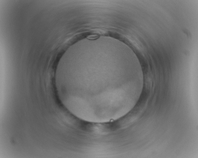 X0000115390229200911241253