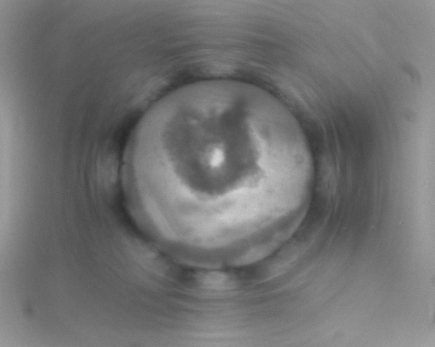 X0000115390230200911241252