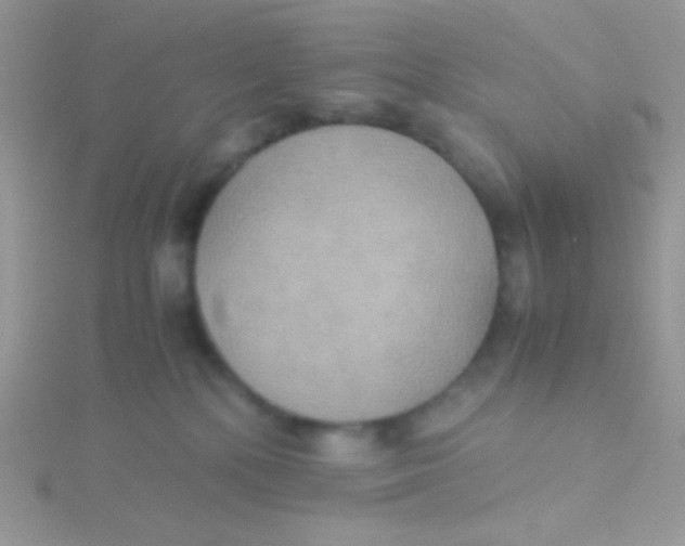 X0000115390232200911241252