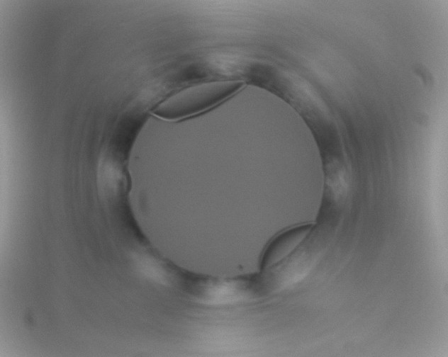 X0000115390235200911241252