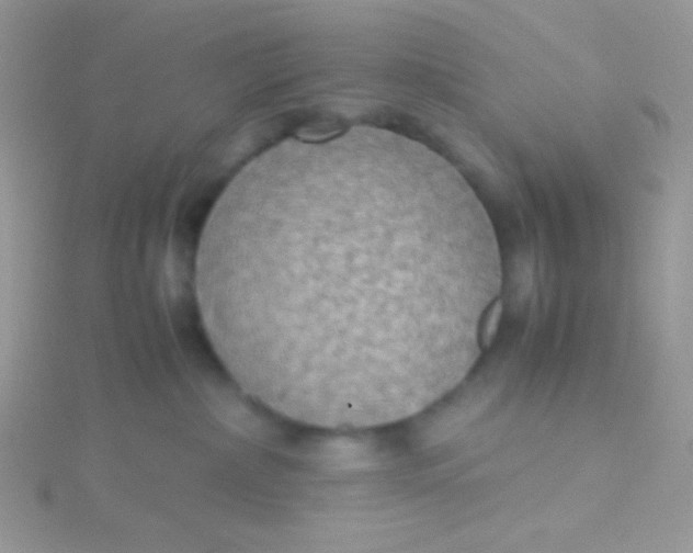 X0000115390236200911241252