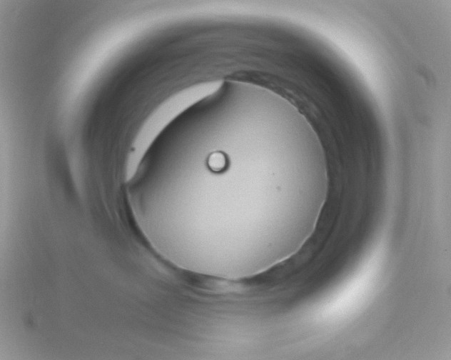 X0000115390239200911241252