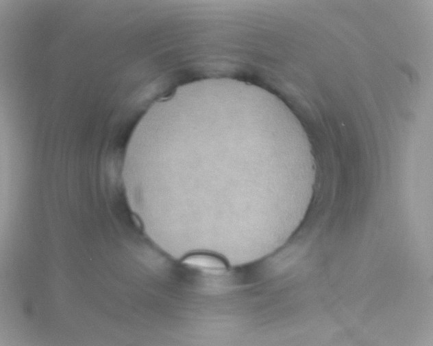 X0000115390240200911241252