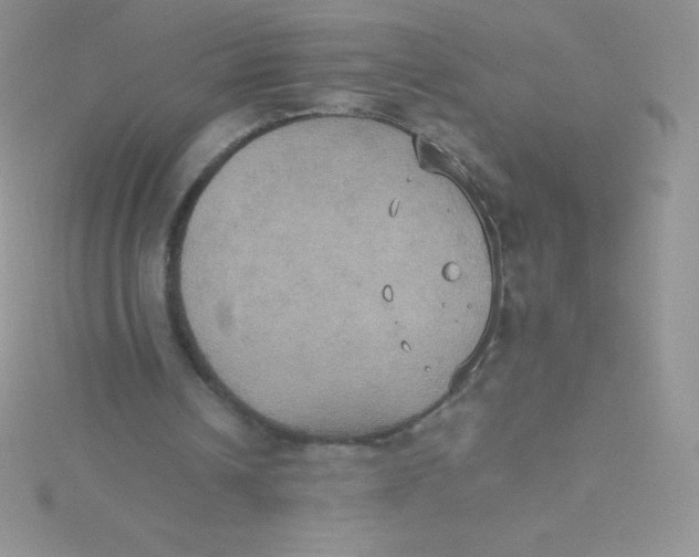 X0000115390242200911241252