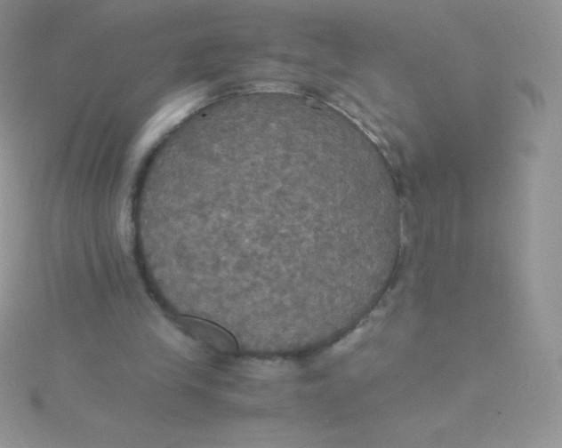 X0000115390245200911241252