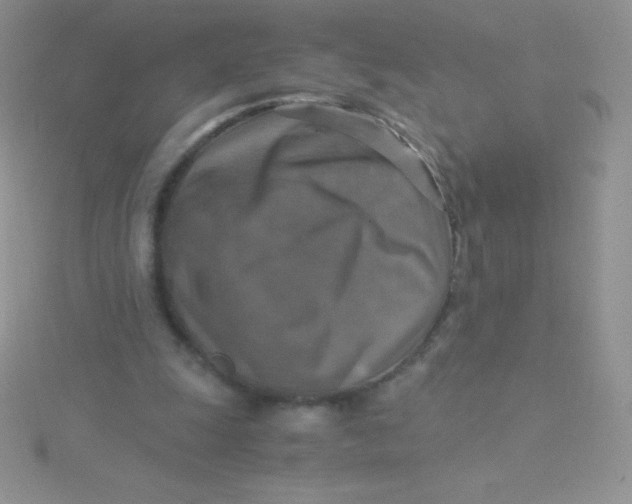 X0000115390247200911241252