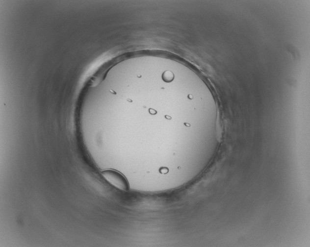 X0000115390248200911241252