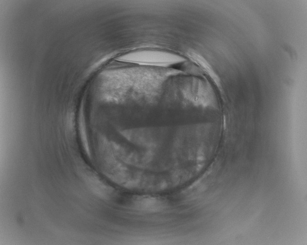 X0000115390249200911241252