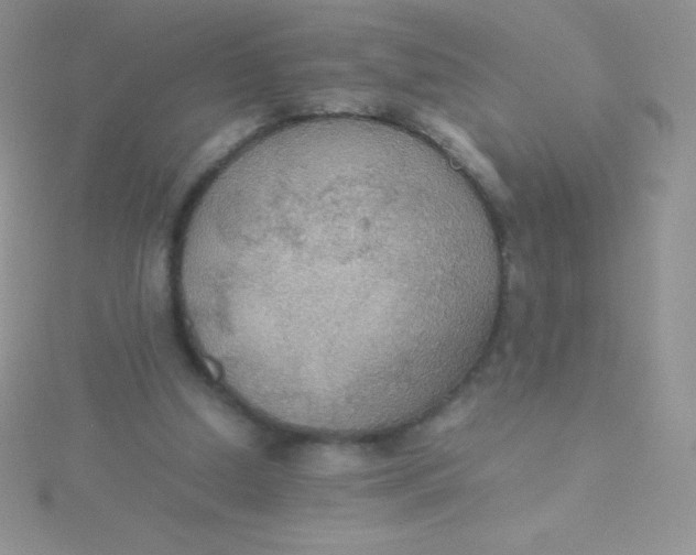 X0000115390250200911241252