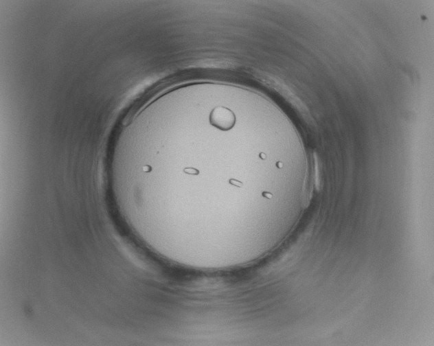 X0000115390252200911241252