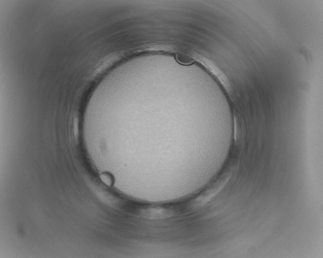 X0000115390253200911241252