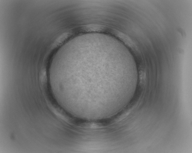 X0000115390254200911241252