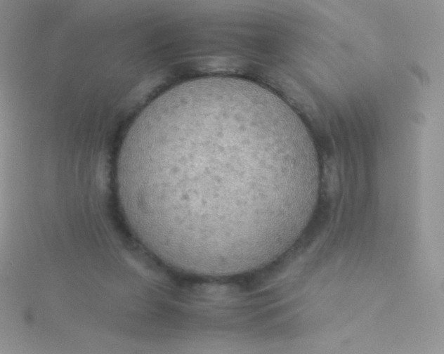 X0000115390255200911241252