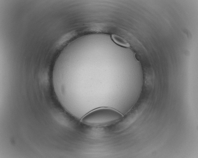 X0000115390256200911241252