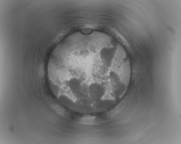 X0000115390257200911241252