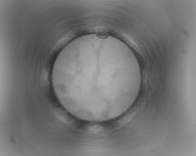 X0000115390258200911241252