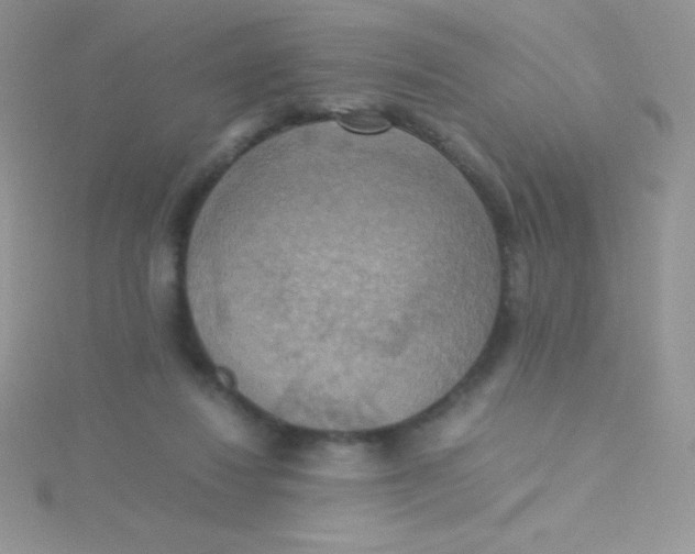 X0000115390260200911241252