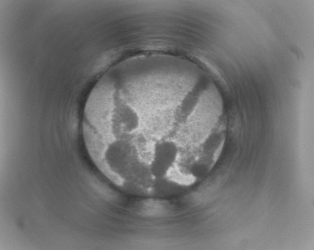 X0000115390261200911241252