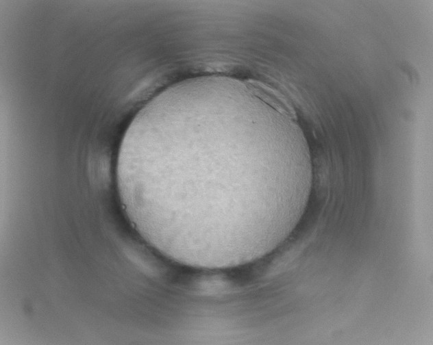 X0000115390262200911241252