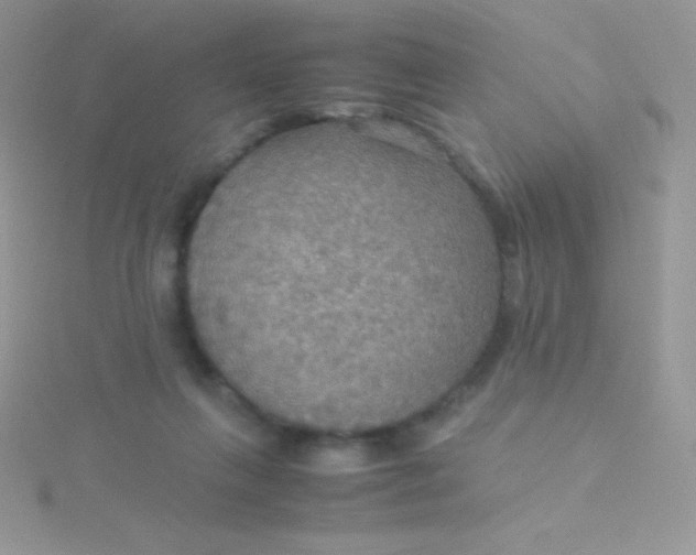 X0000115390263200911241252