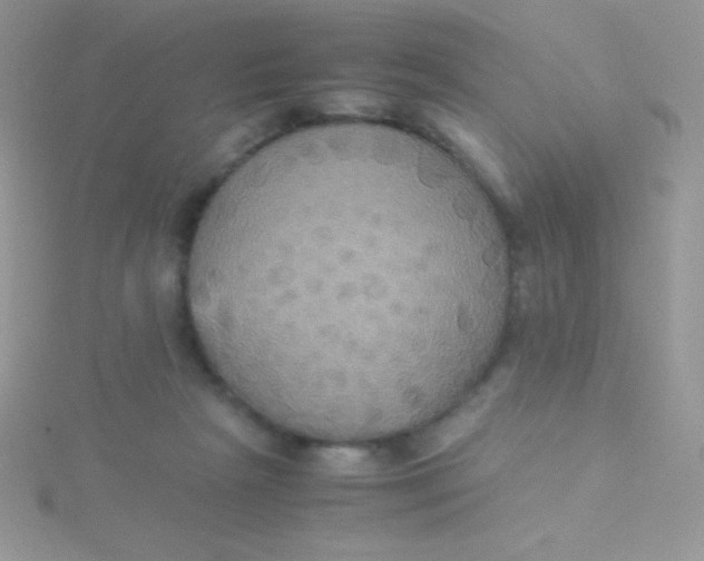 X0000115390265200911241252