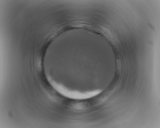 X0000115390267200911241252