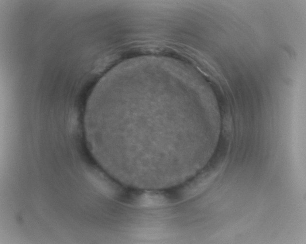 X0000115390270200911241252