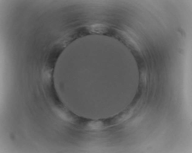 X0000115390271200911241252