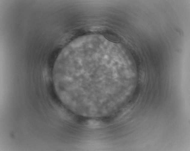 X0000115390272200911241252