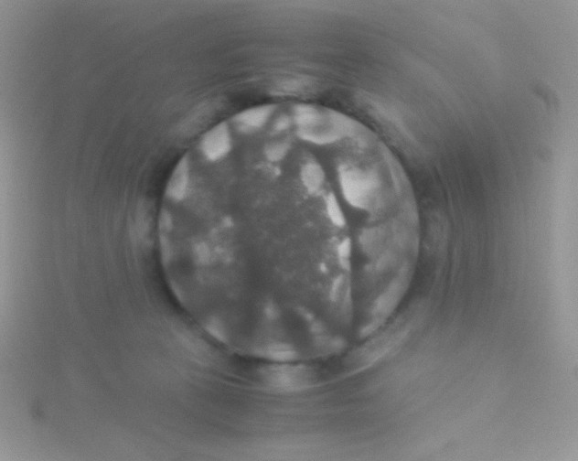 X0000115390273200911241252