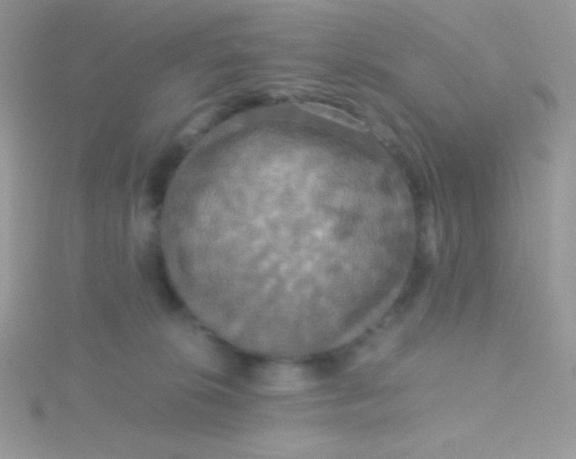 X0000115390276200911241252