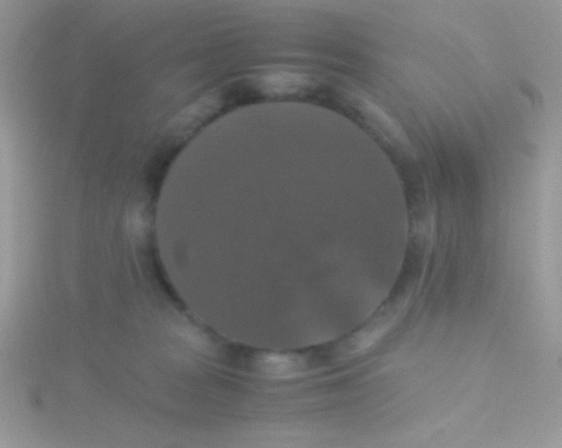 X0000115390277200911241252