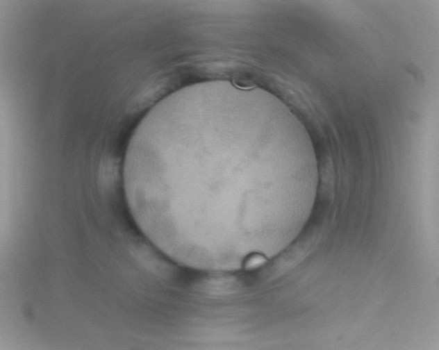 X0000115390278200911241252