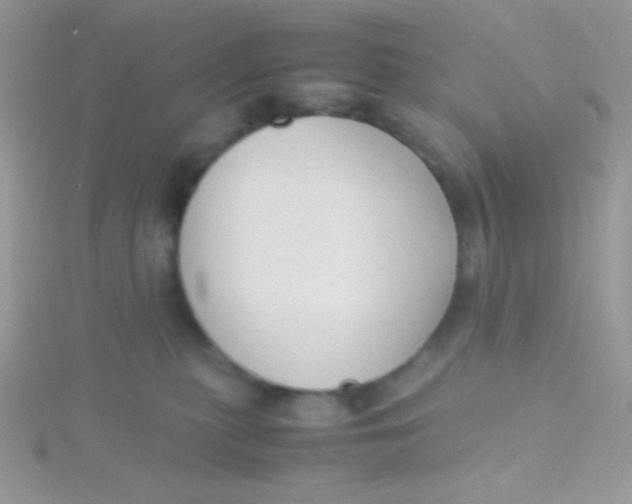 X0000115390279200911241252