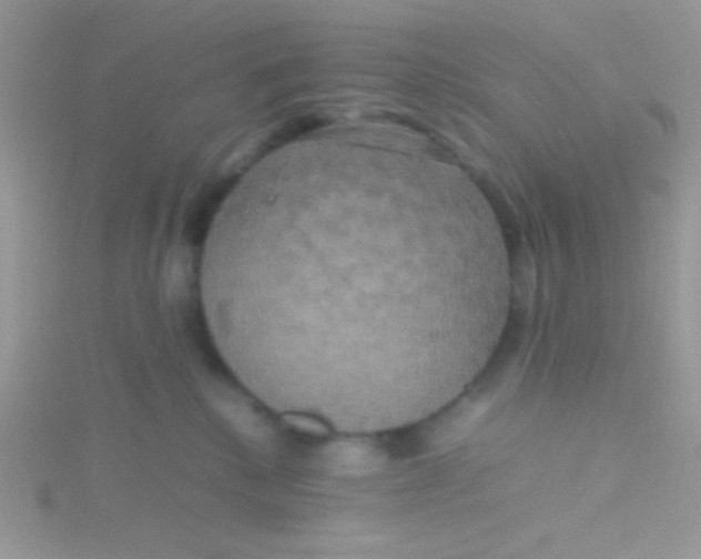 X0000115390280200911241252