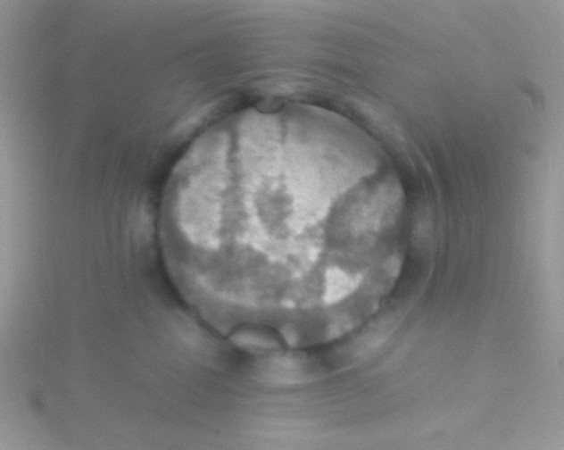 X0000115390282200911241252