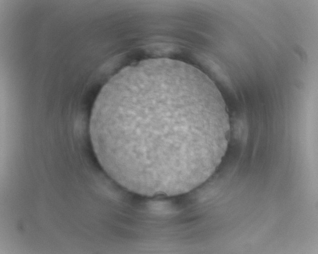 X0000115390283200911241252