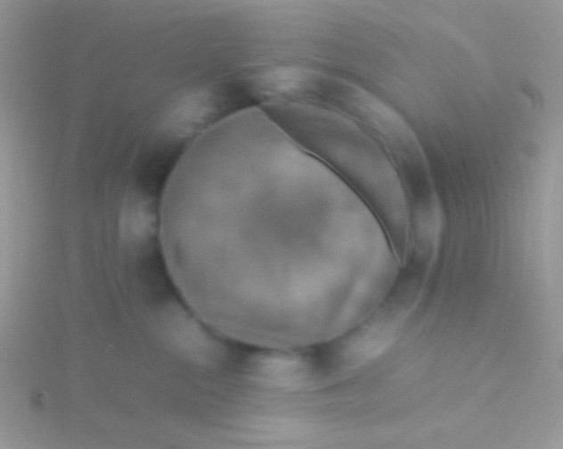 X0000115390284200911241252