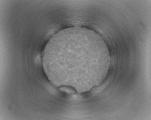 X0000115390286200911241252