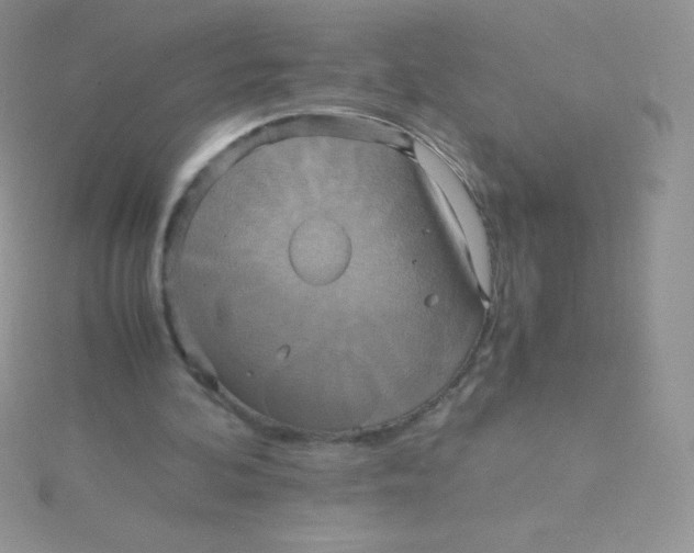 X0000115390292200911241252