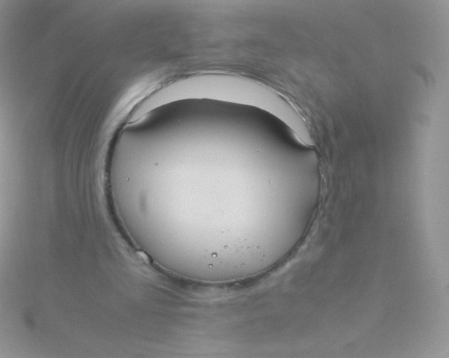 X0000115390293200911241252