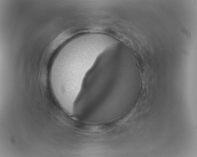 X0000115390295200911241251