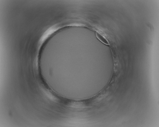 X0000115390296200911241251