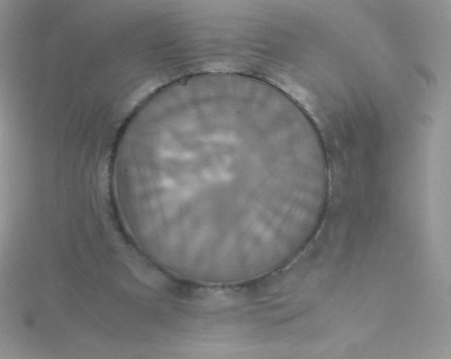 X0000115390297200911241251