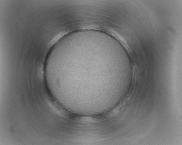 X0000115390298200911241251