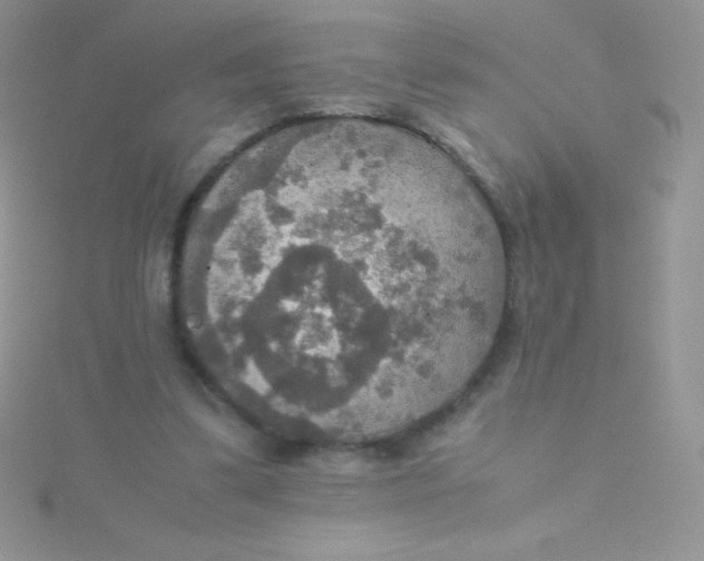 X0000115390299200911241251